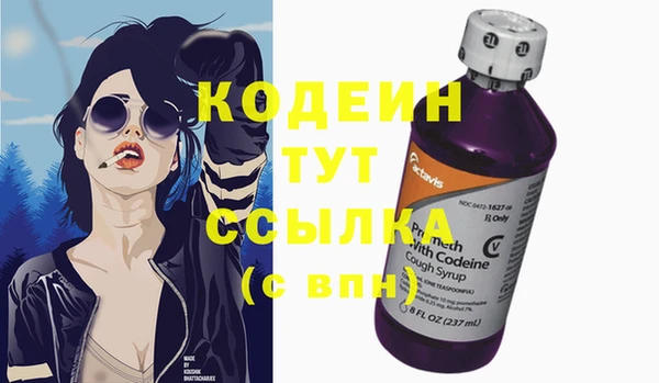 крисы Козельск
